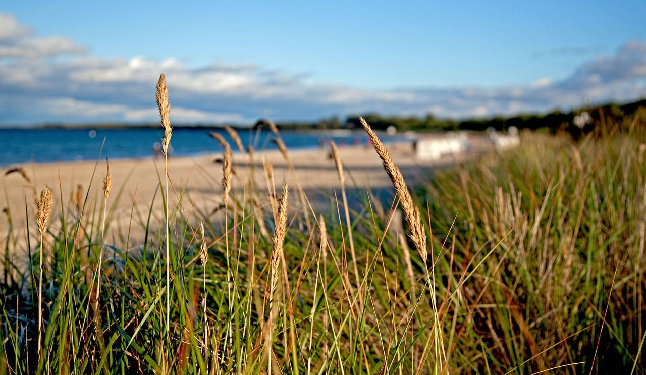 Fewo 7 Im "Haus Am Meer" Boltenhagen Kültér fotó